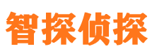 白沙外遇出轨调查取证